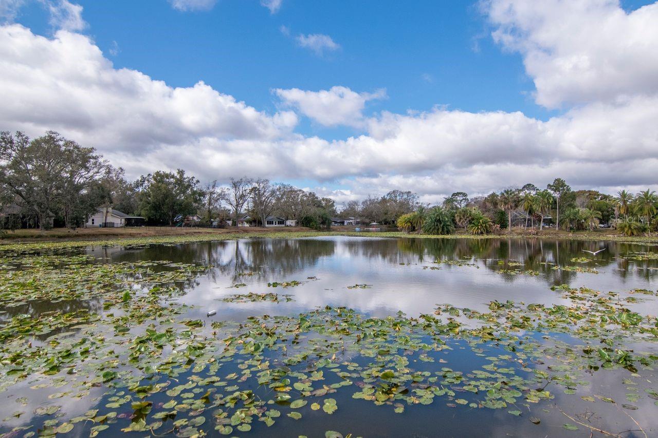 LIVINGSTON UNIT III A - Residential