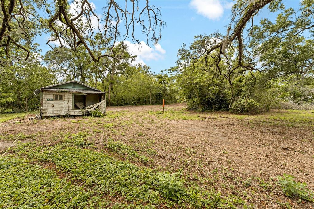 Photo of 40611 Otis Allen Road, Zephyrhills, FL 33540 (MLS # TB8498242)