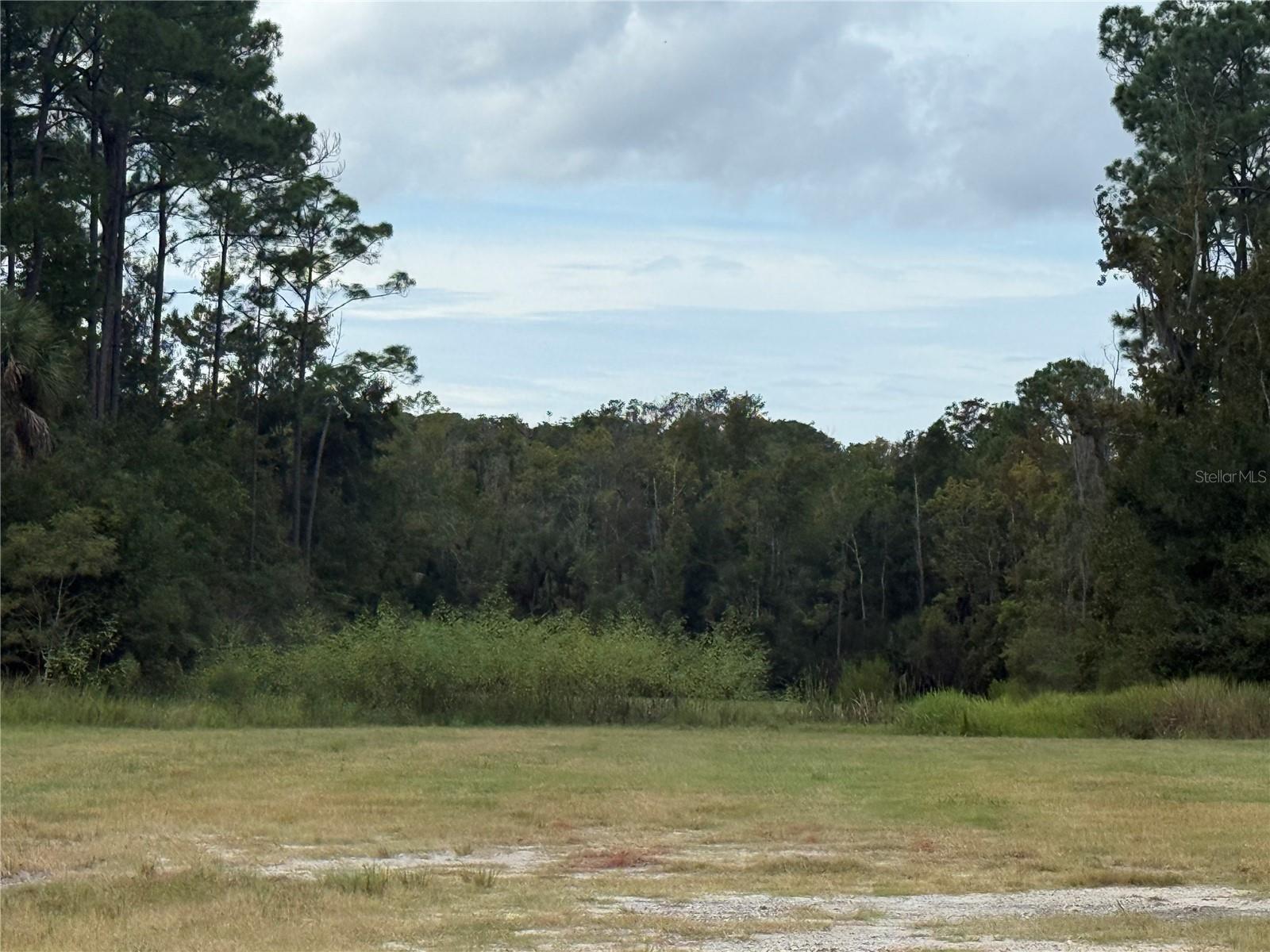 10855 W HOMOSASSA TRAIL