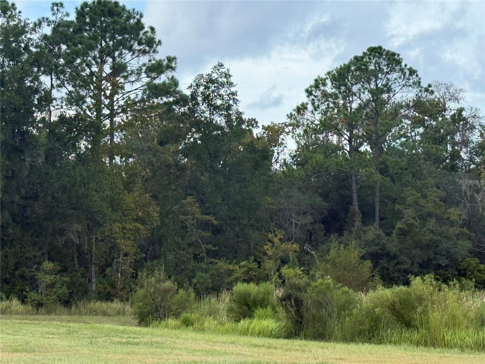 10855 W HOMOSASSA TRAIL