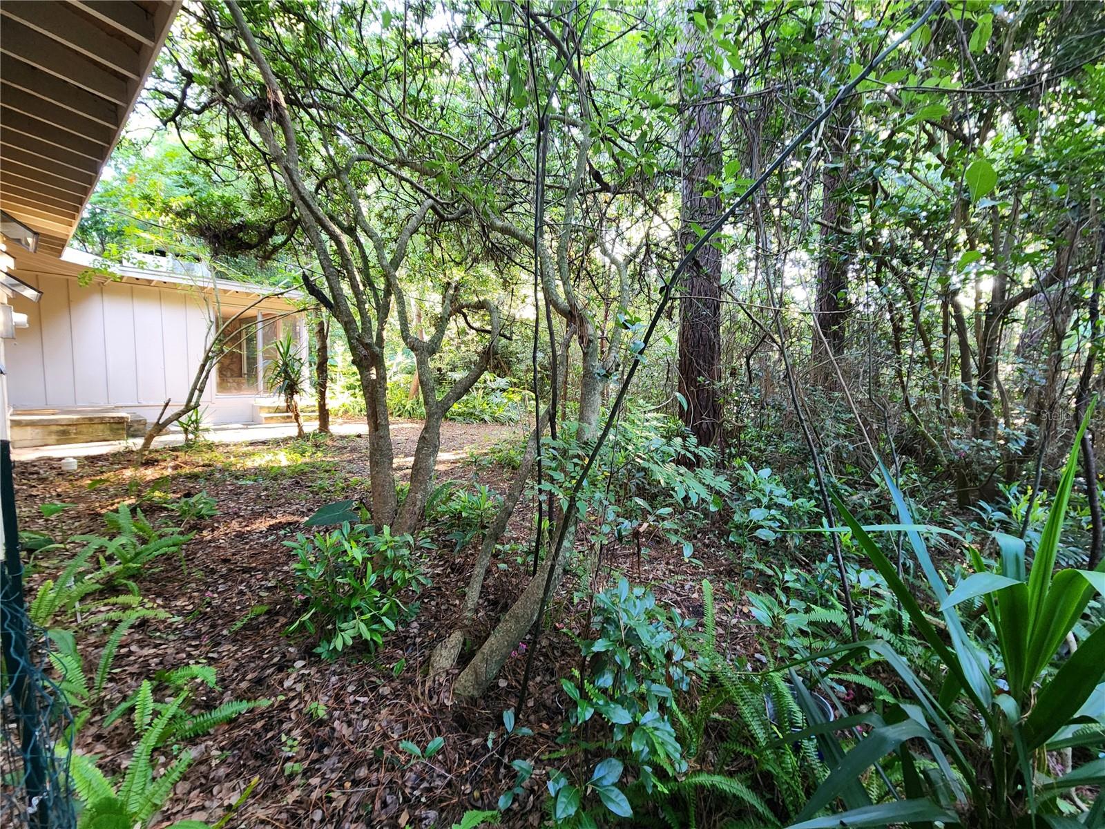 MASON MANOR - Residential Lease