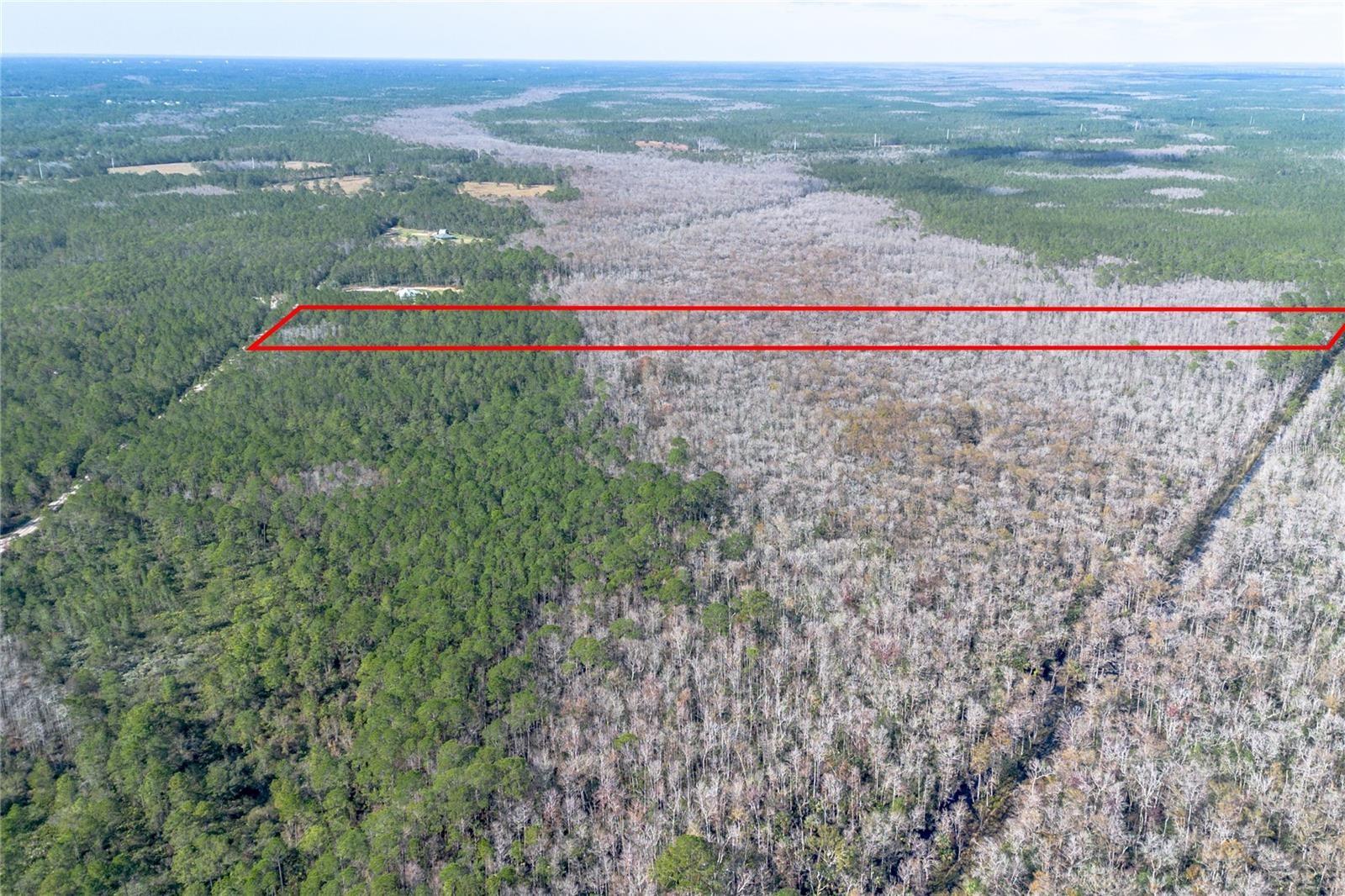 DELTONA LAND & TIMBER - Land