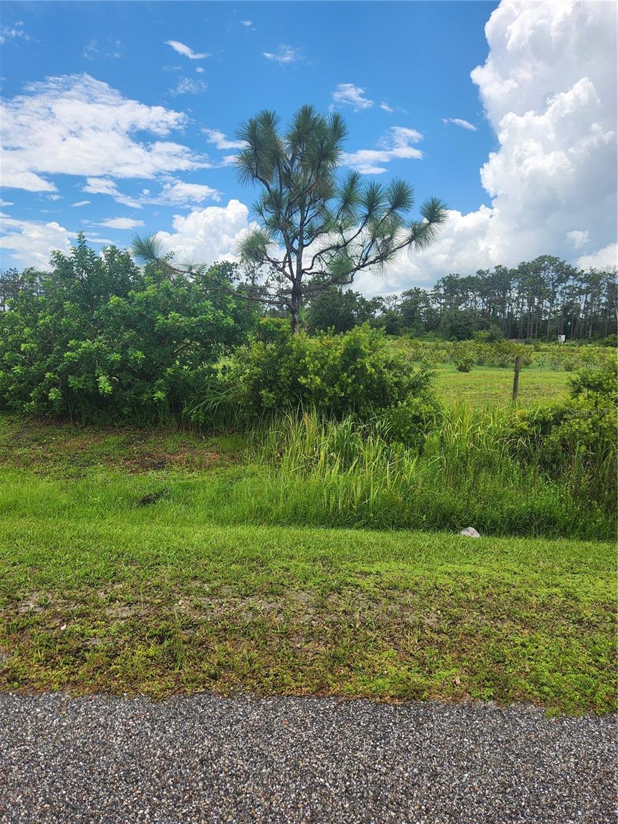 Here is a chance to build your dream home in the country. Manatee County says 1000sq ft living, how about a Barndominium. Slightly more than 1 acre homesite fenced on 3 sides. Owner is agent Please call for appointment to walk the property (cows on property and gate is on the neighboring lot) but you are welcome to do a drive by. Signs on property and corners are marked. Not a part of Golden Verna Subdivision. Property is between SR 70 and 84th Ave E.