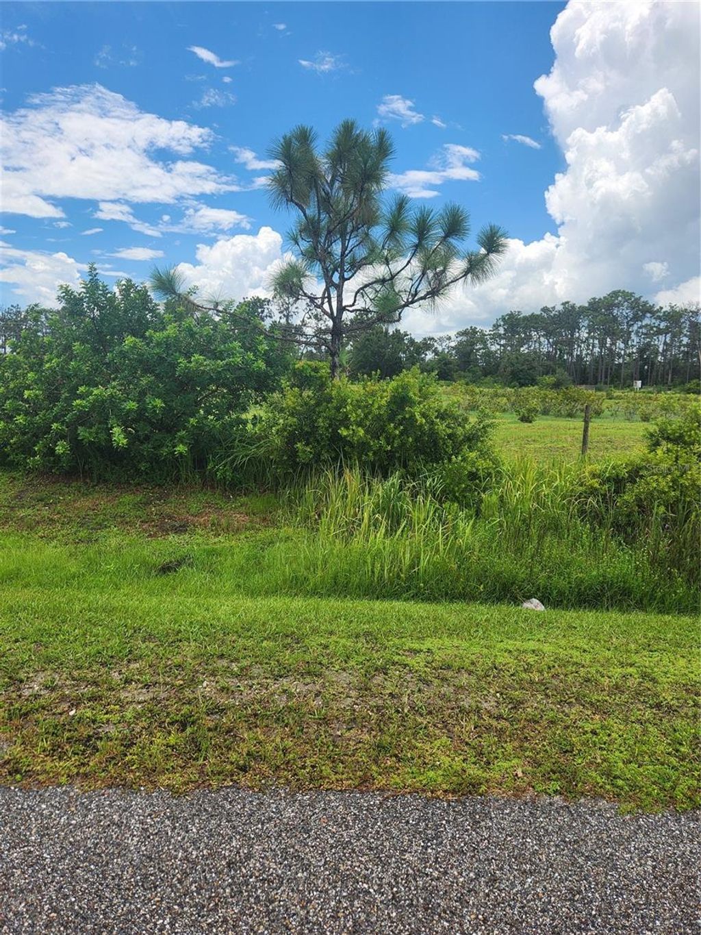 Photo of 84th Avenue E, Myakka City, FL 34251 (MLS # A4660703)