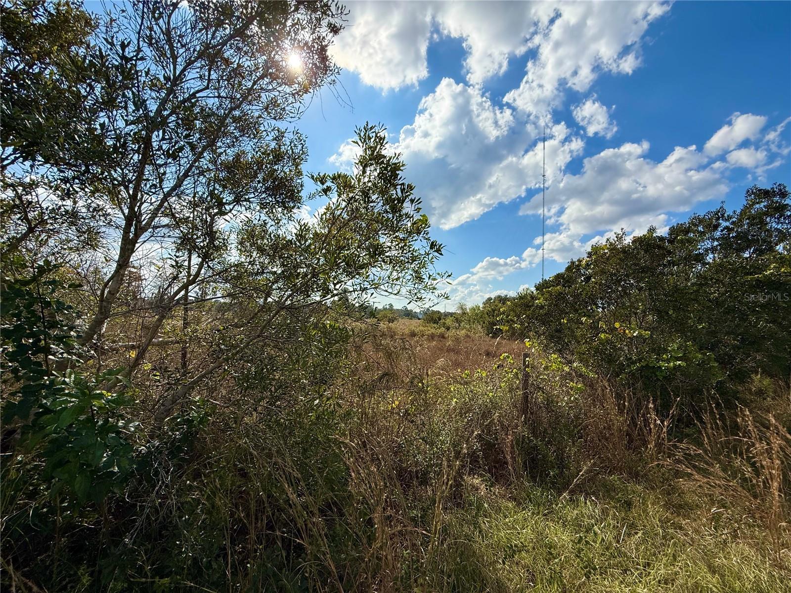 CHRISTMAS RANCH - Residential