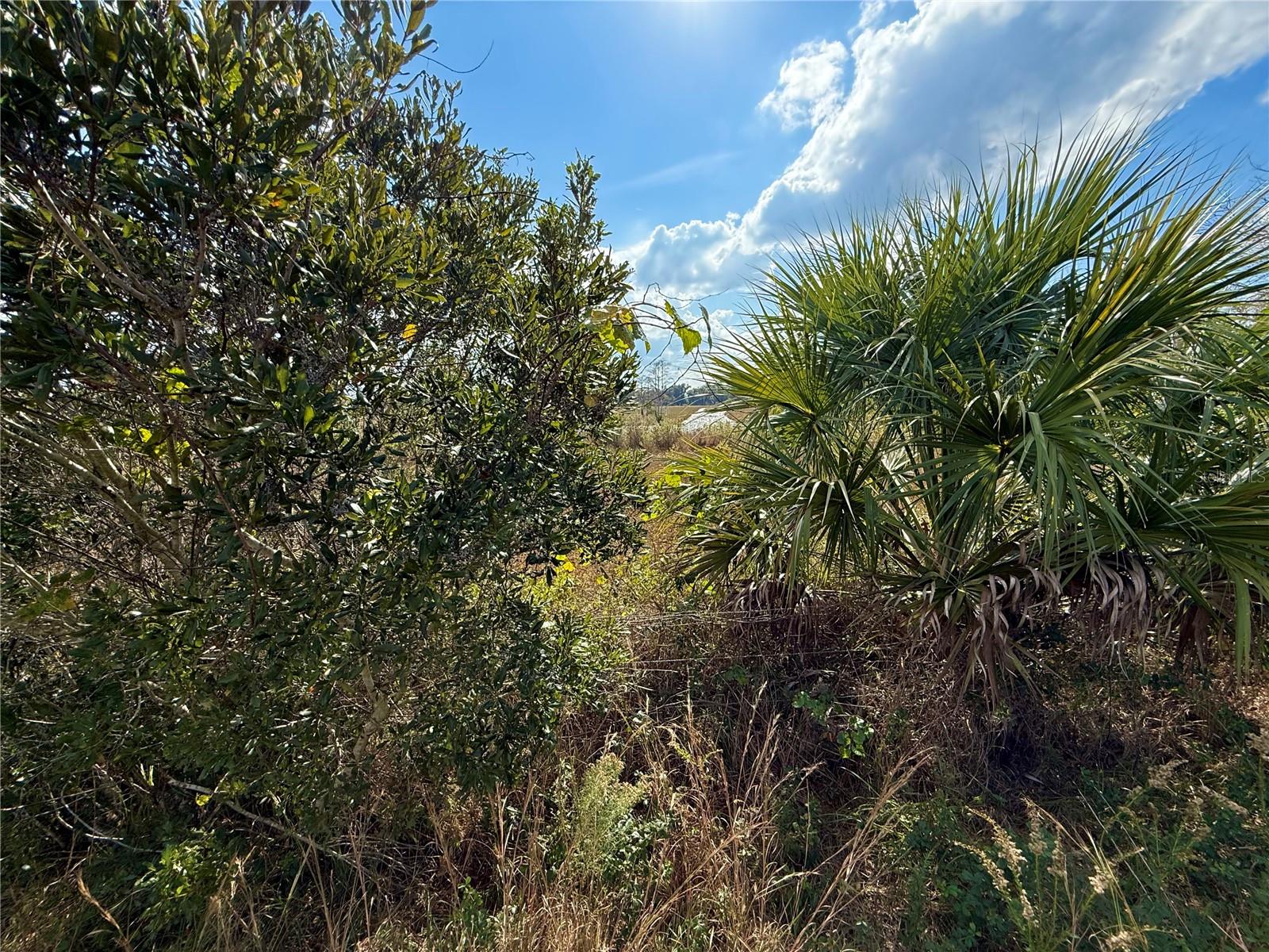 CHRISTMAS RANCH - Residential