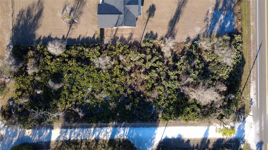 High and dry.  This undeveloped county corner piece of land has 2 fronts, one on SR 415 and the other on La Starza Dr. The property is zoned RA, rural agricultural and nonconforming. Centrally located to everything and in a no flood zone. Buyer should conduct own due diligence and direct concerns or questions to Volusia County.