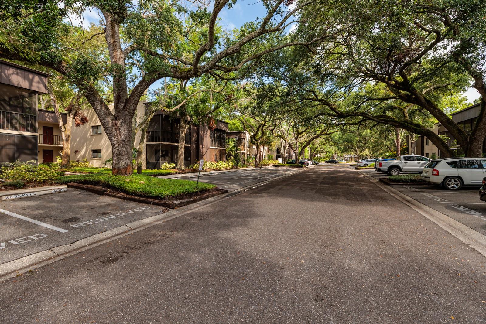 RAINTREE VILLAGE CONDO N - Residential