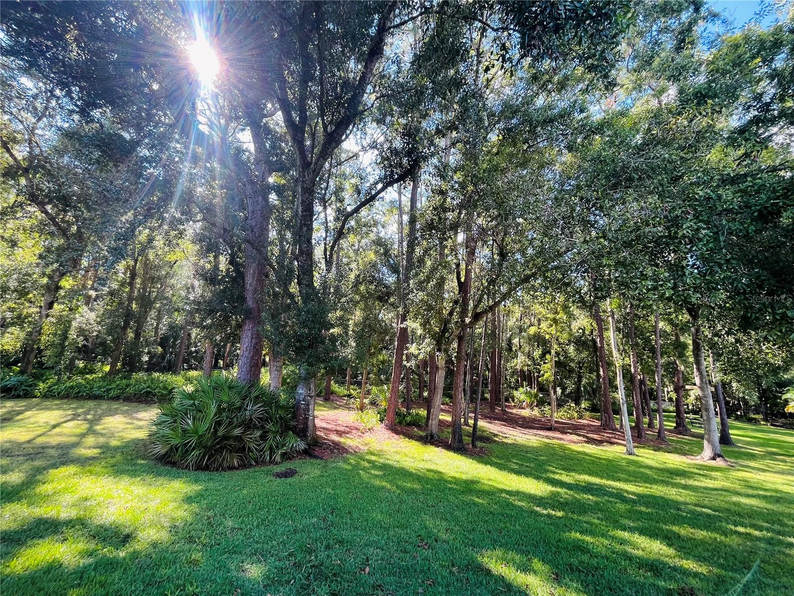 ANCHORAGE OF TARPON LAKE UNIT THREE THE - Residential Lease