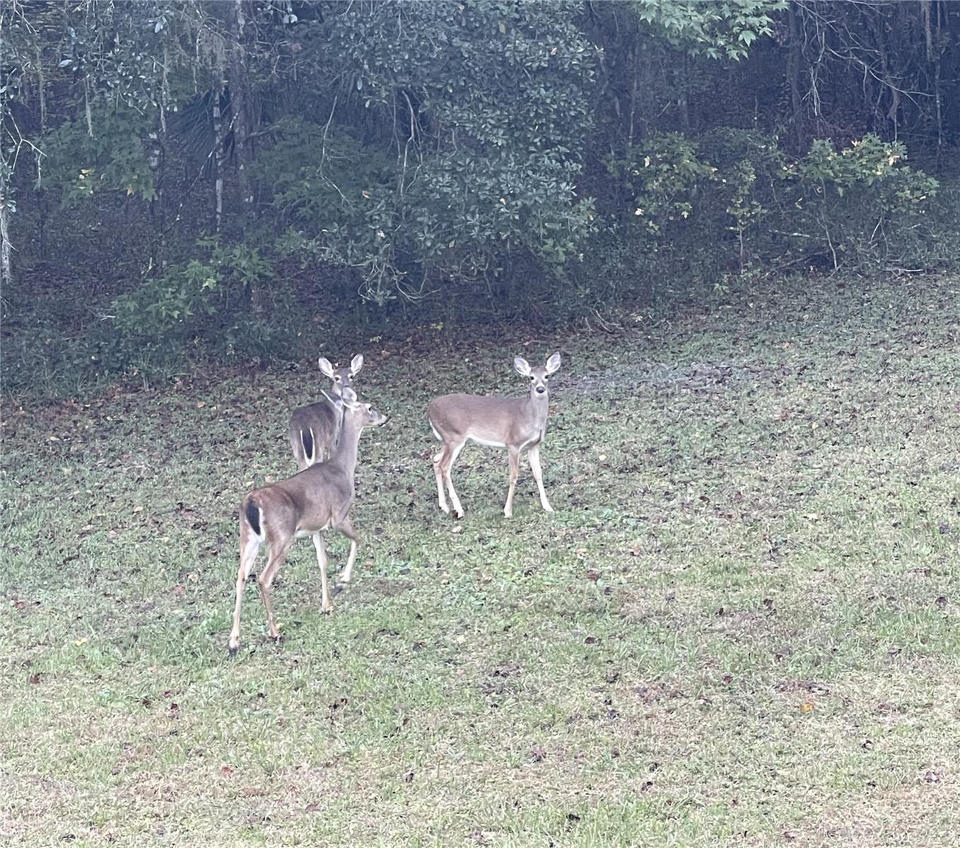 THE VILLAGE AT HIDDEN LAKES - Land