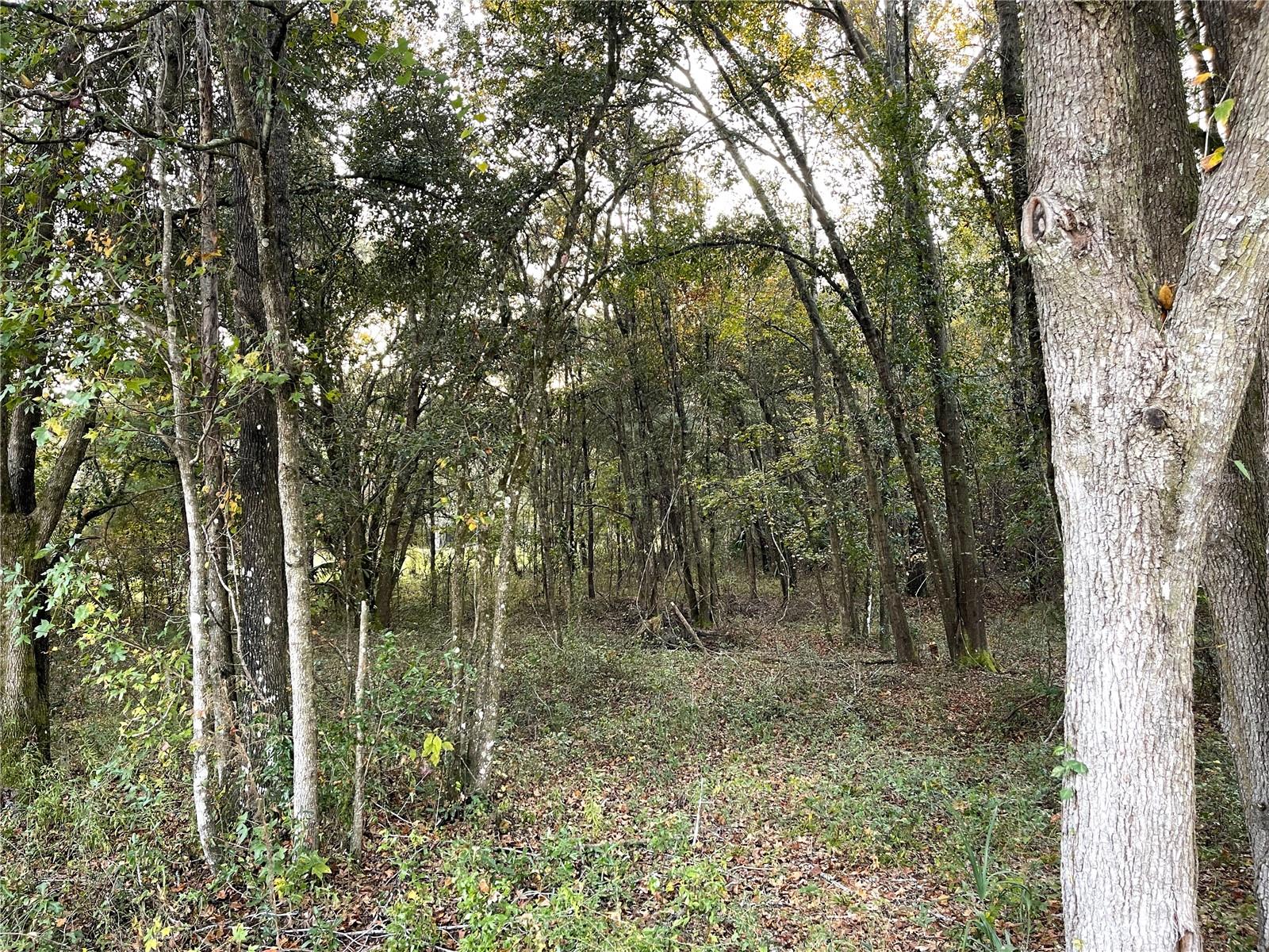 THE VILLAGE AT HIDDEN LAKES - Land