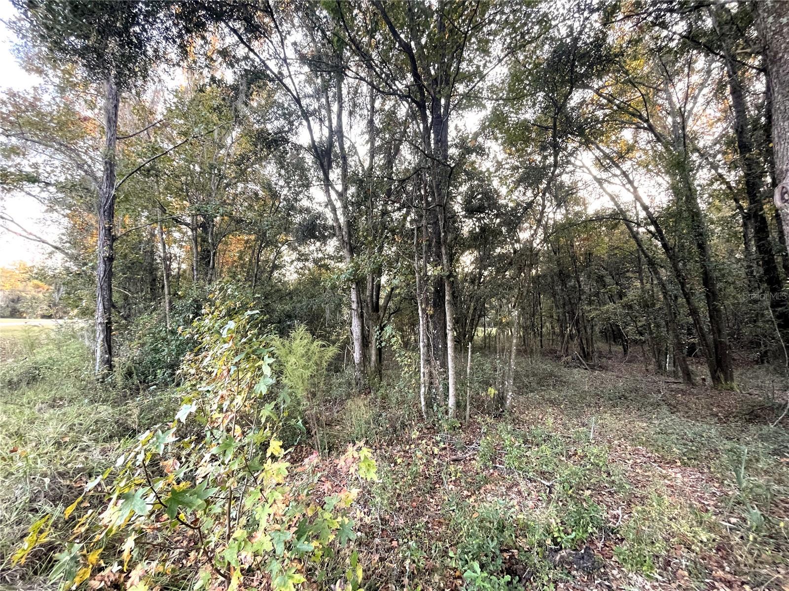 THE VILLAGE AT HIDDEN LAKES - Land