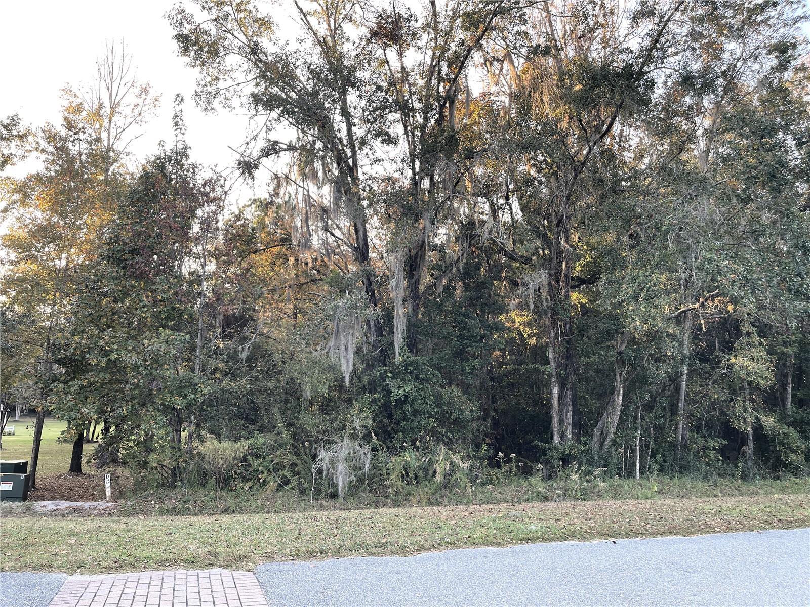 THE VILLAGE AT HIDDEN LAKES - Land