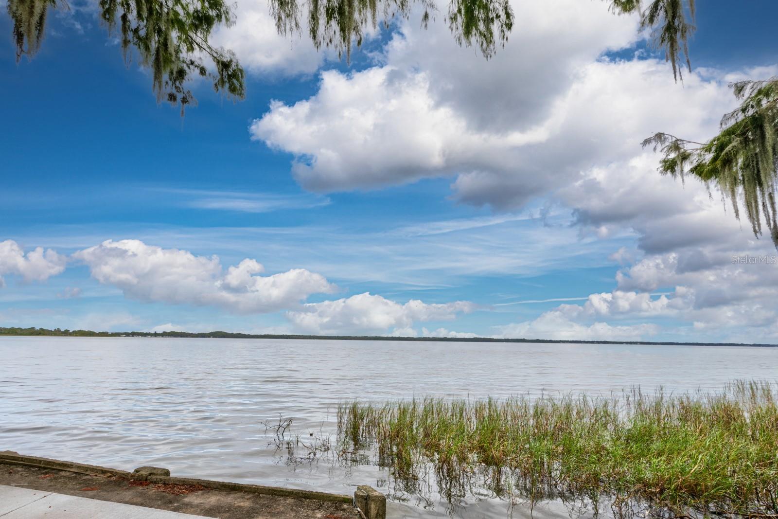 TAVARES LAKEWOOD PARK - Residential