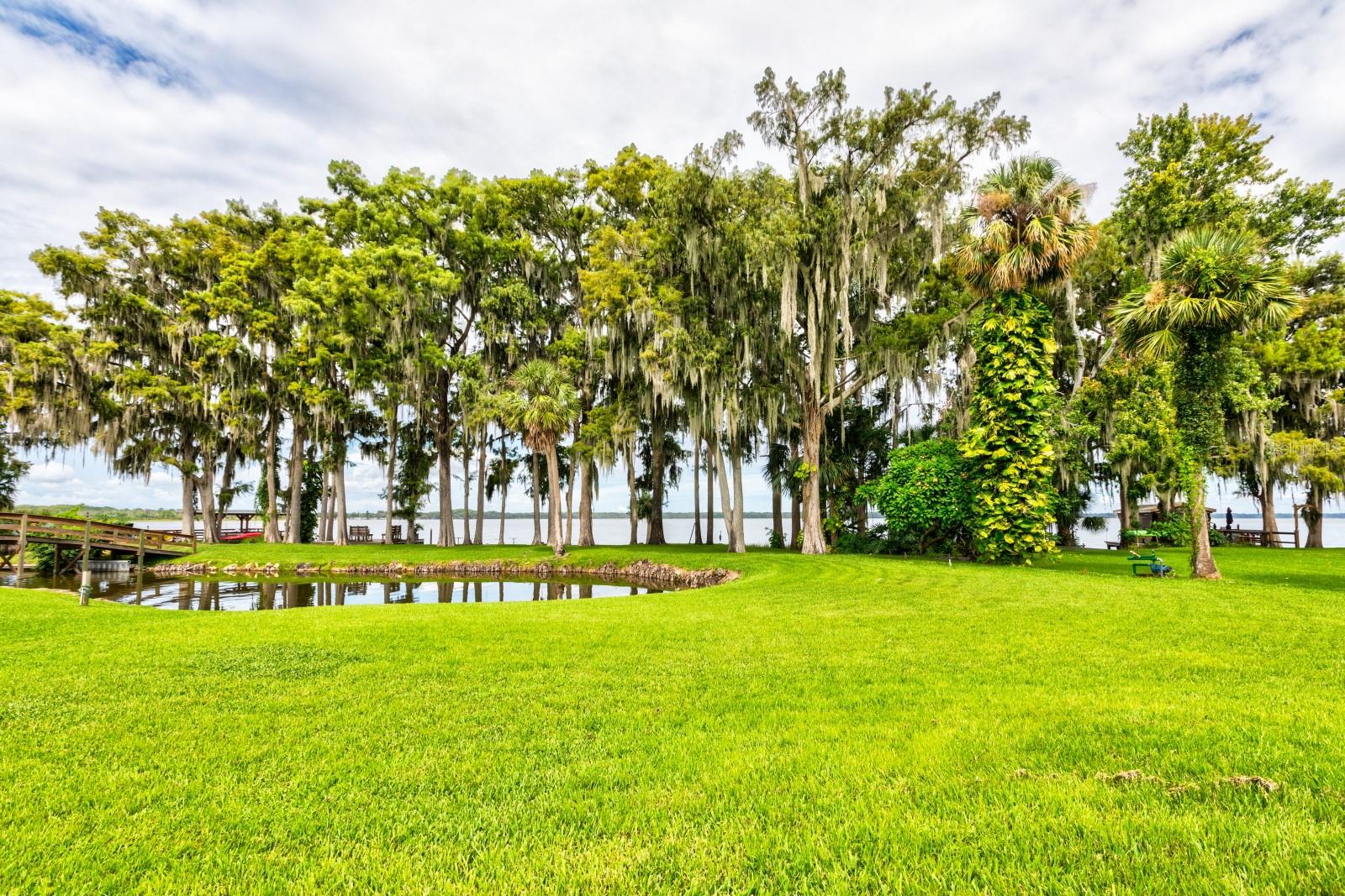 TAVARES LAKEWOOD PARK - Residential