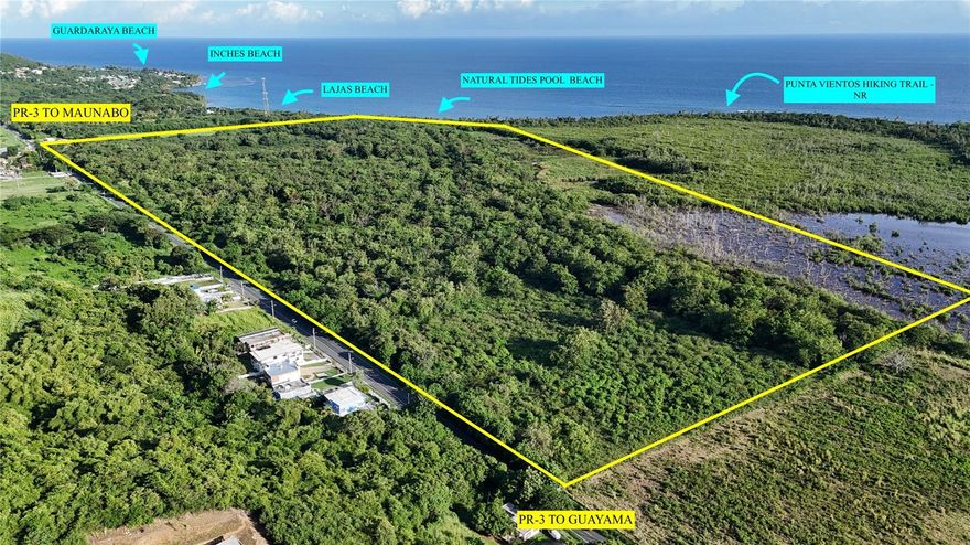 Large rural agricultural property consisting of approximately 136.32 cuerdas (about 53.6 hectares / 132.7 acres). The property is composed of two parcels, including approximately 113.57 cuerdas of usable agricultural land and approximately 22.75 cuerdas designated as mangrove conservation area, subject to environmental protections and use restrictions.

Flood zones per FEMA maps consist of approximately 61.3% Zone X and 38.7% Zone AE. The property does not have direct beach or water frontage; however, it adjoins a neighboring parcel that fronts the beach.

The property fronts PR-3 with approximately 3,000 linear feet of direct frontage, providing established and legal access from a main insular highway, directly across from a 24-hour service station with convenience retail.

The property is near several beaches and adjoins the Punta Vientos Natural Reserve, known for its tide pools, hiking trails, and protected coastal landscapes. Restaurants and services are available nearby in the fishing village of Villa Pesquera.

Buyer to independently verify zoning, permitted uses, environmental restrictions, proximity to amenities, and flood zone information.