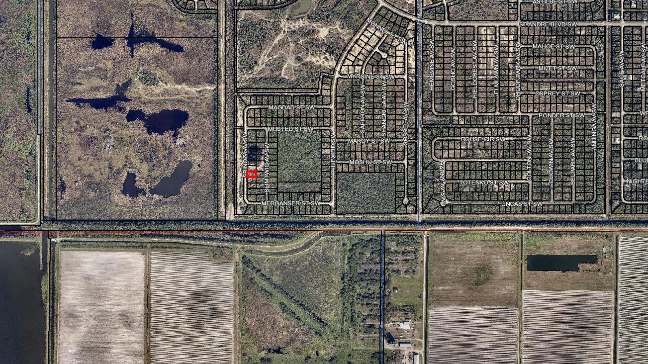 3339 SPINOZA AVENUE SW