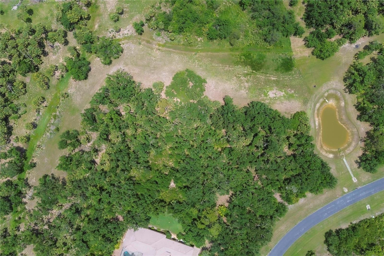 FOREST AT THE HI HAT RANCH - Land