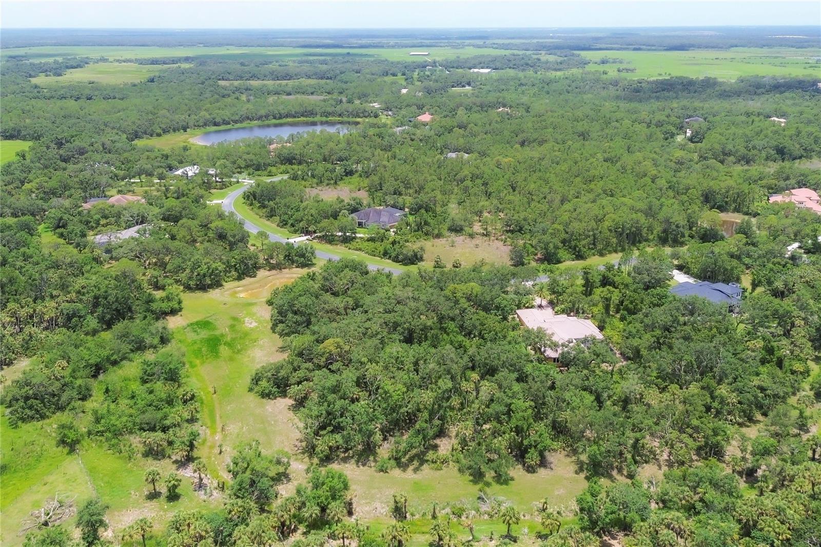 FOREST AT THE HI HAT RANCH - Land