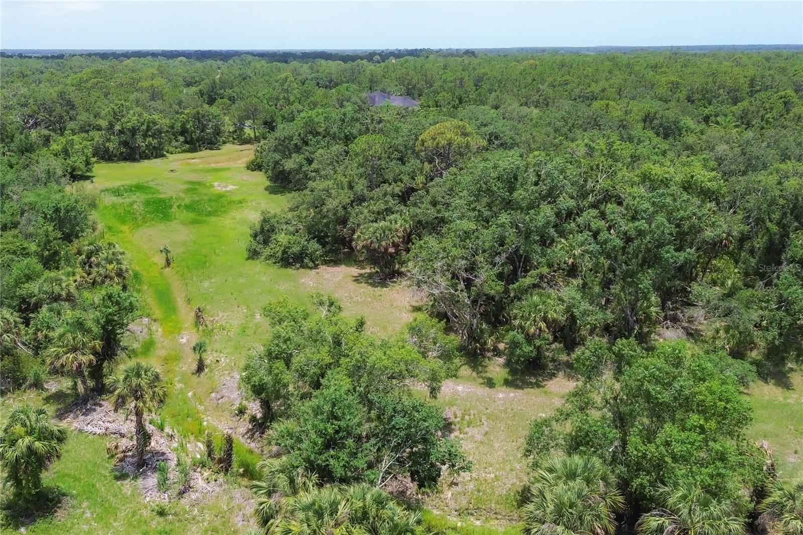 FOREST AT THE HI HAT RANCH - Land