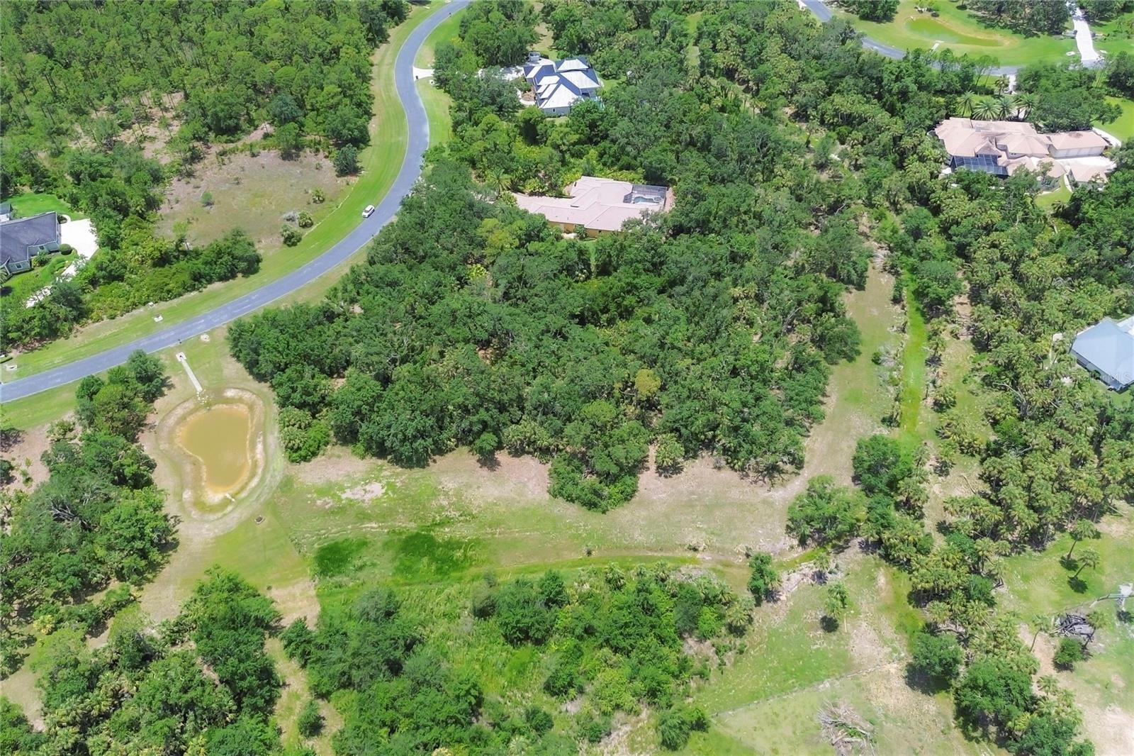 FOREST AT THE HI HAT RANCH - Land