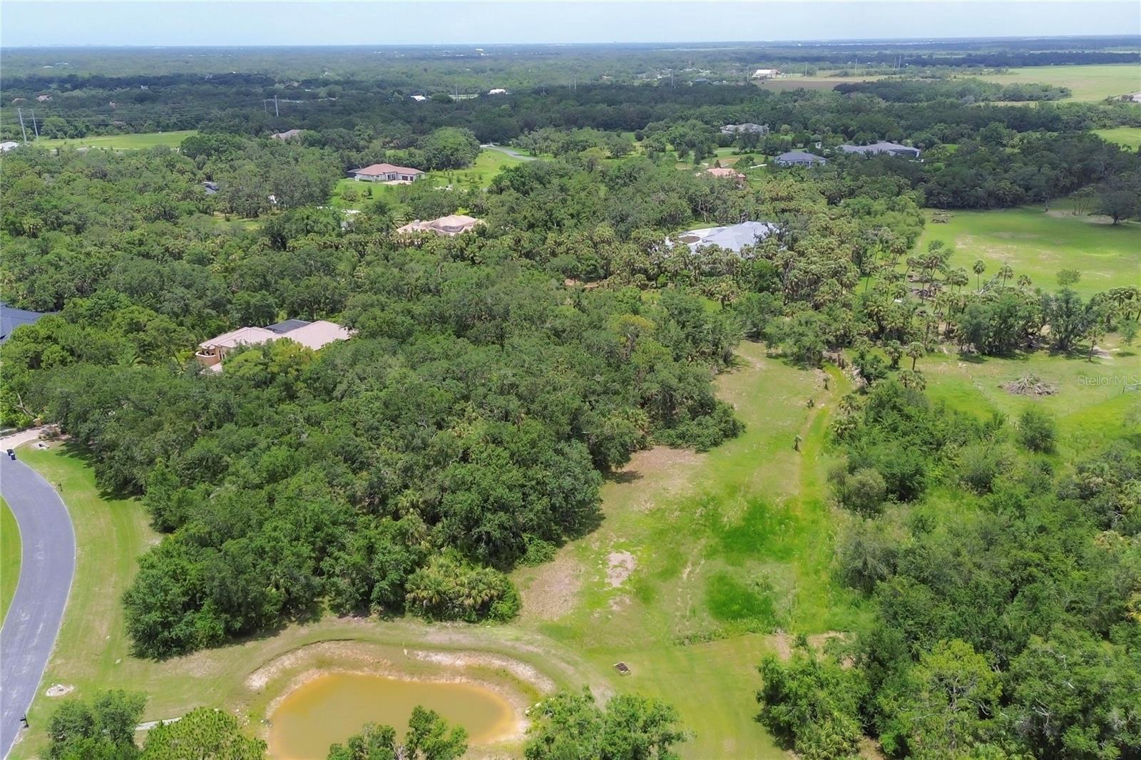 FOREST AT THE HI HAT RANCH - Land