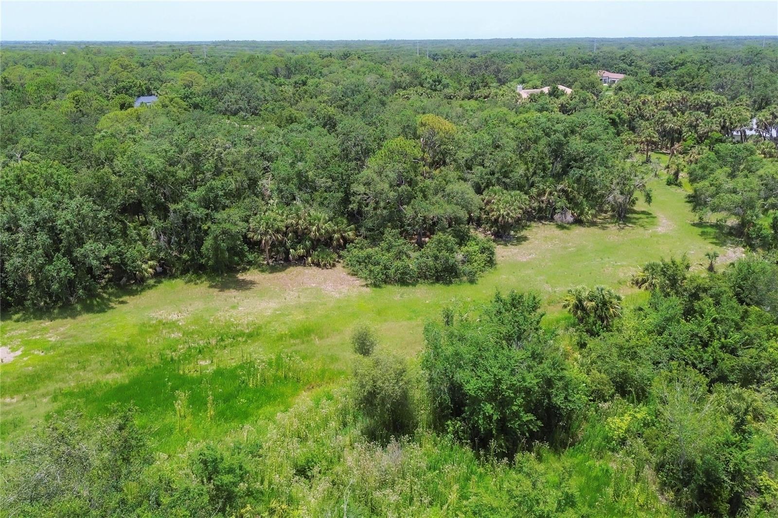 FOREST AT THE HI HAT RANCH - Land