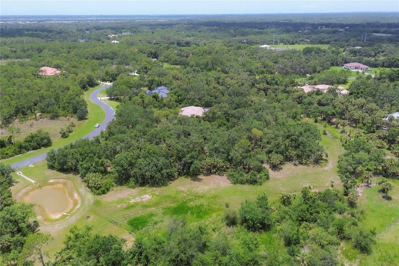 FOREST AT THE HI HAT RANCH - Land