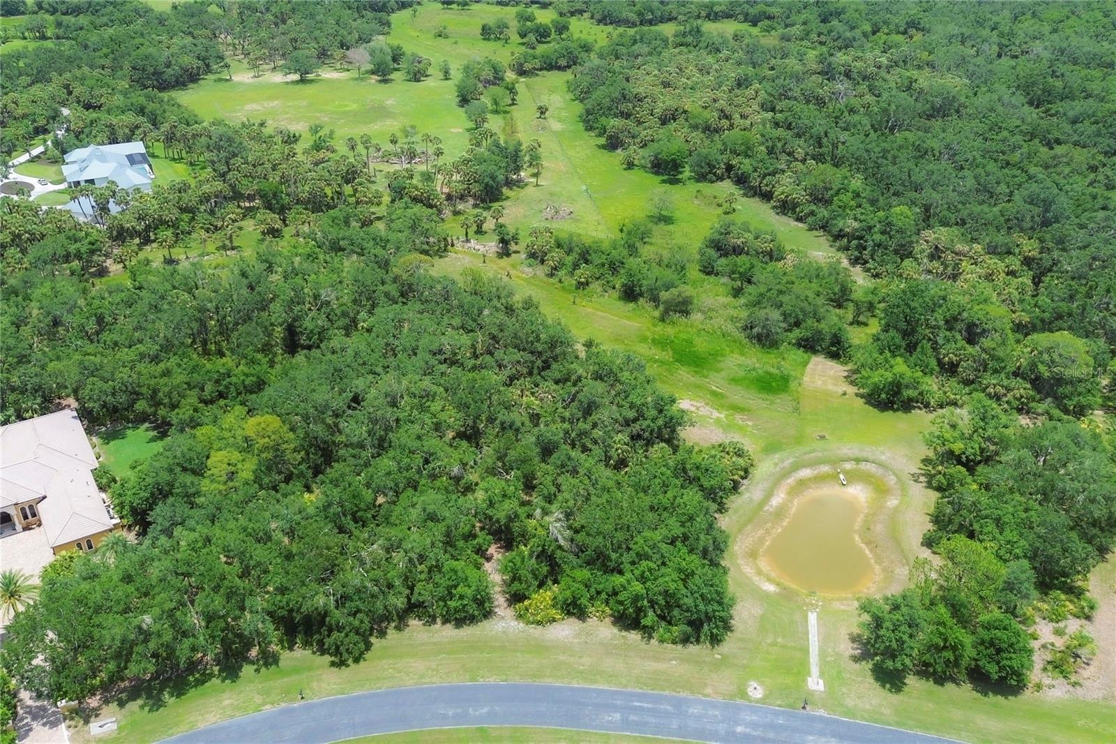 FOREST AT THE HI HAT RANCH - Land