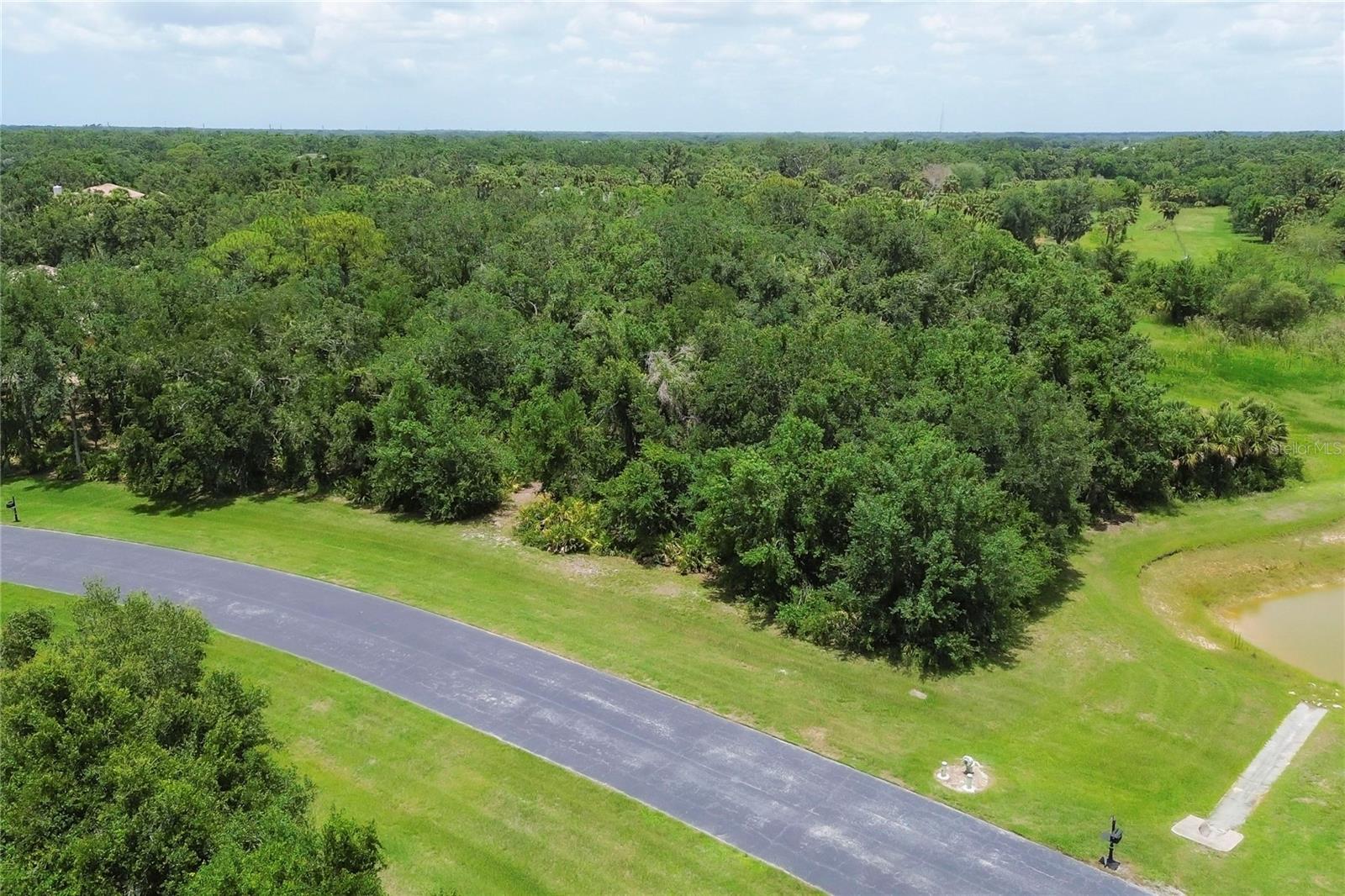 FOREST AT THE HI HAT RANCH - Land