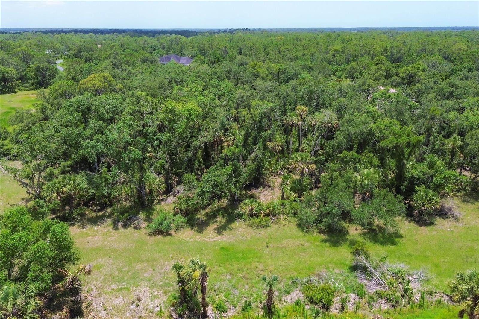 FOREST AT THE HI HAT RANCH - Land