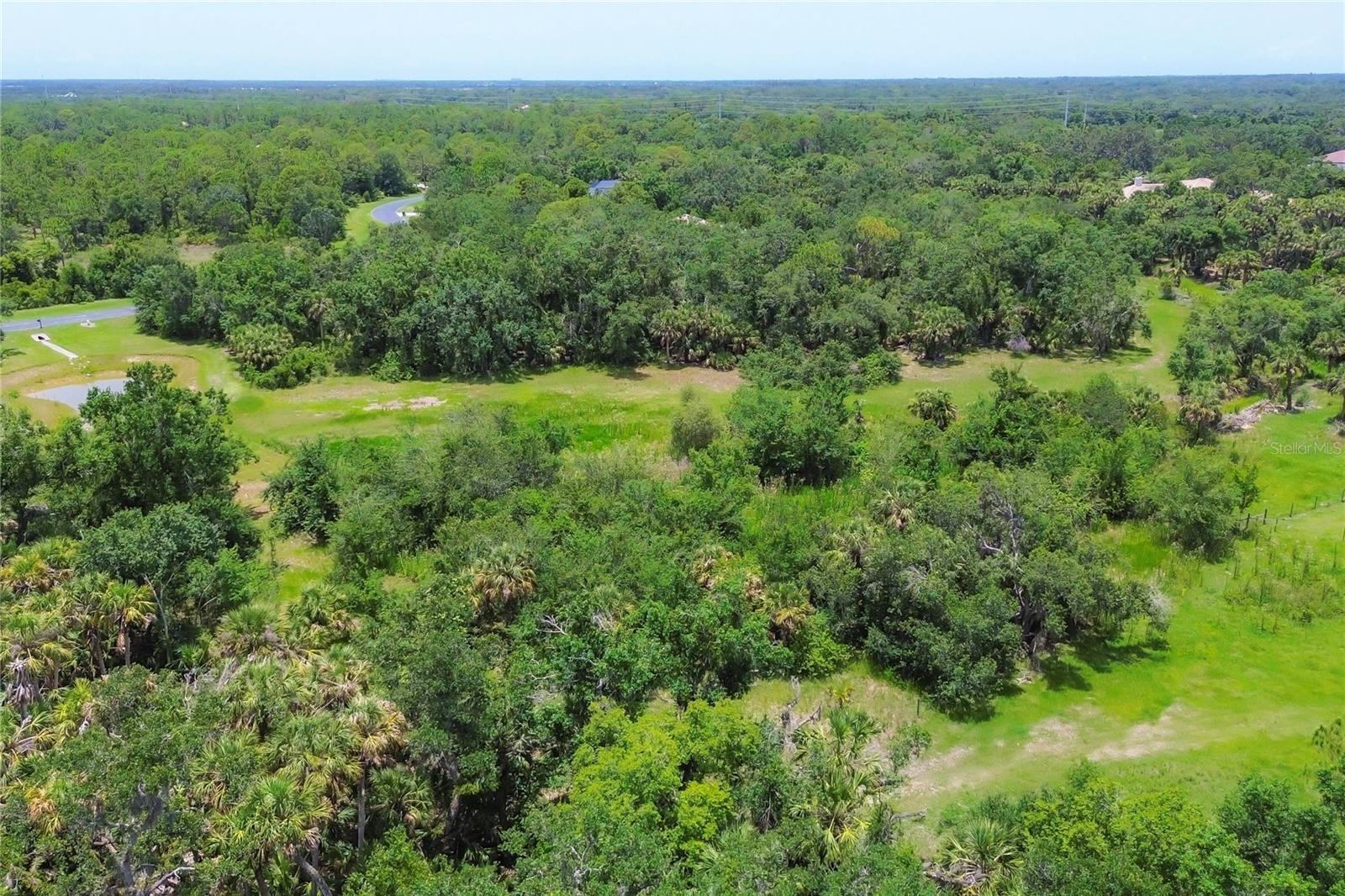 FOREST AT THE HI HAT RANCH - Land