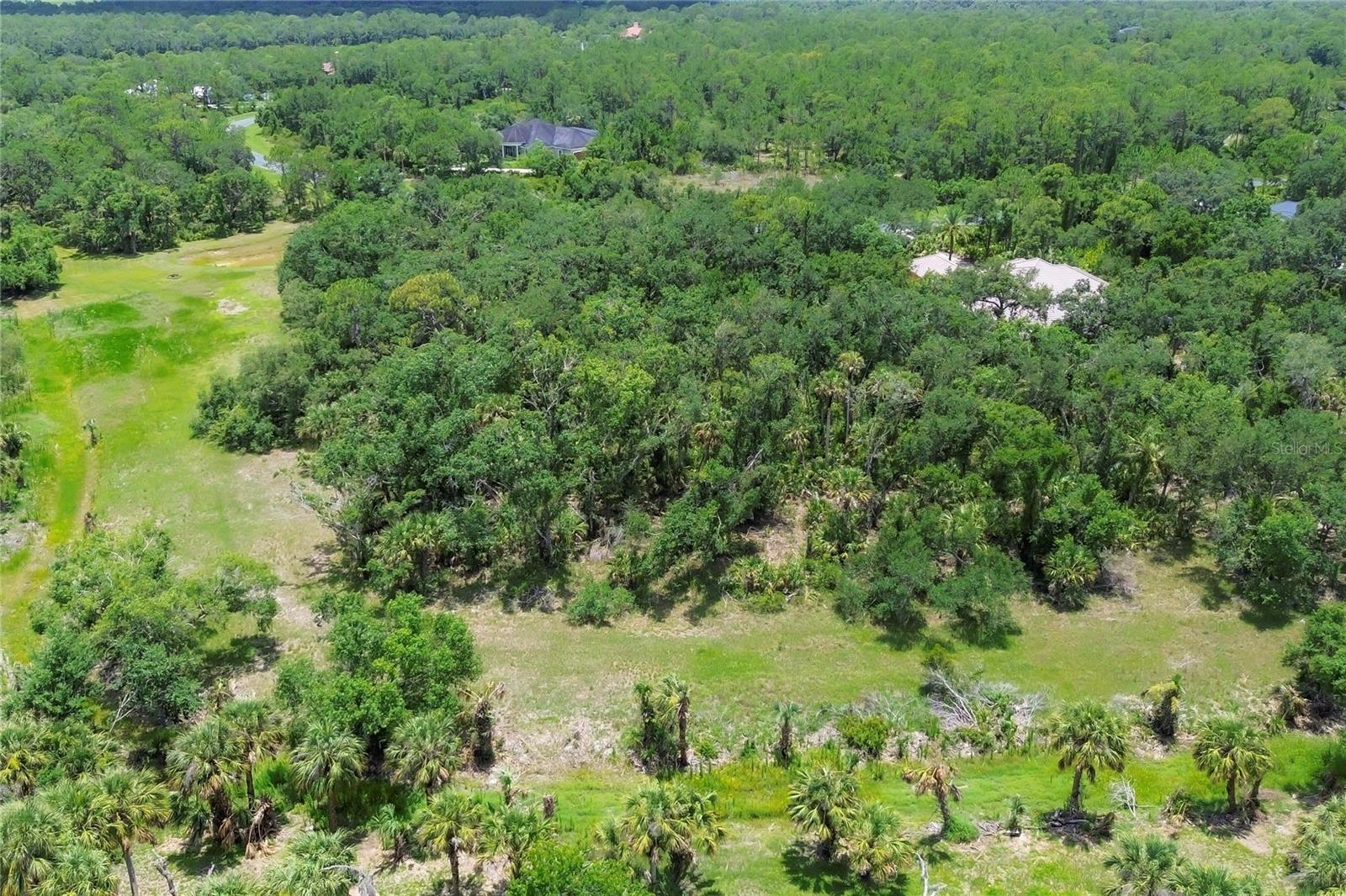 FOREST AT THE HI HAT RANCH - Land