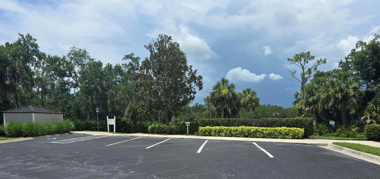 FOREST AT THE HI HAT RANCH - Land