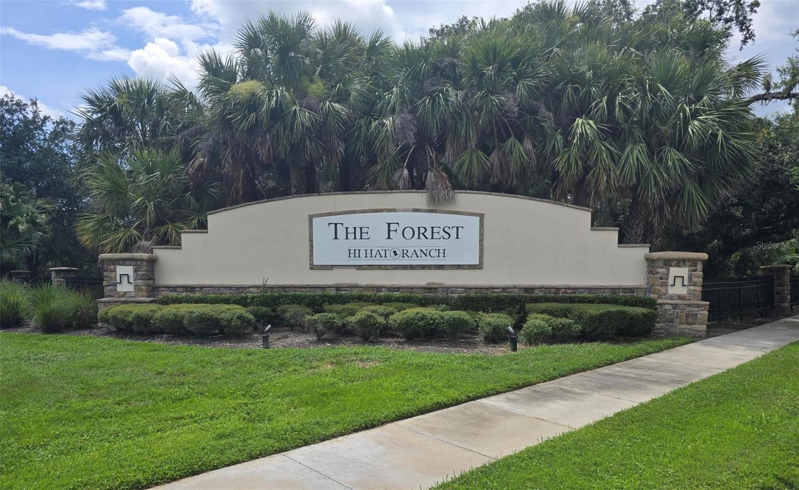 FOREST AT THE HI HAT RANCH - Land