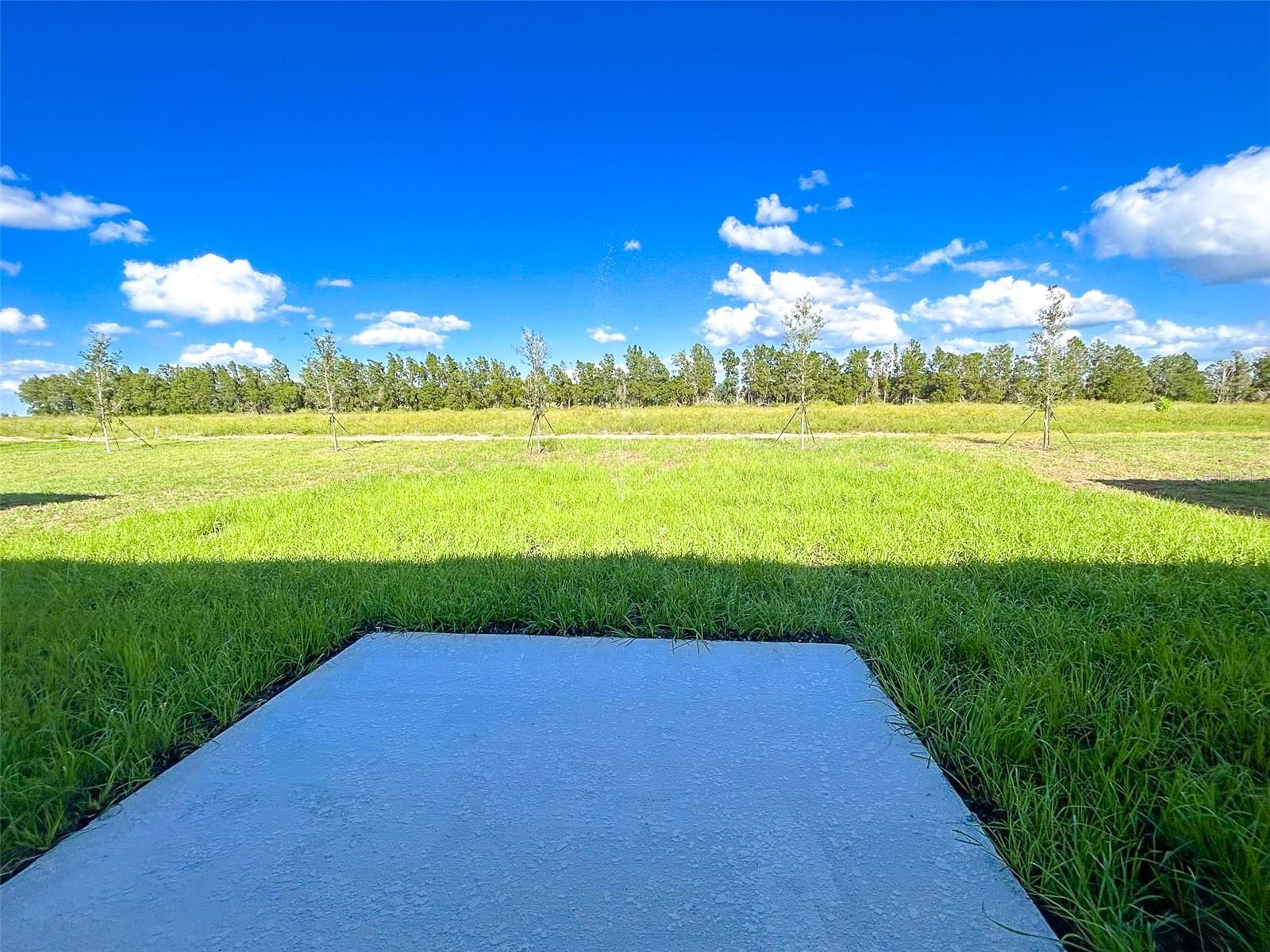 CASCADES PH IA & IB - Residential Lease