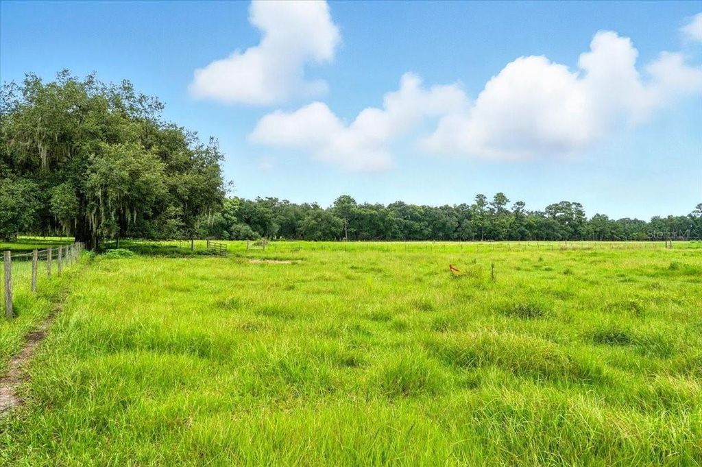 Photo of 39410 Sparkman Road, Dade City, FL 33525 (MLS # L4952813)