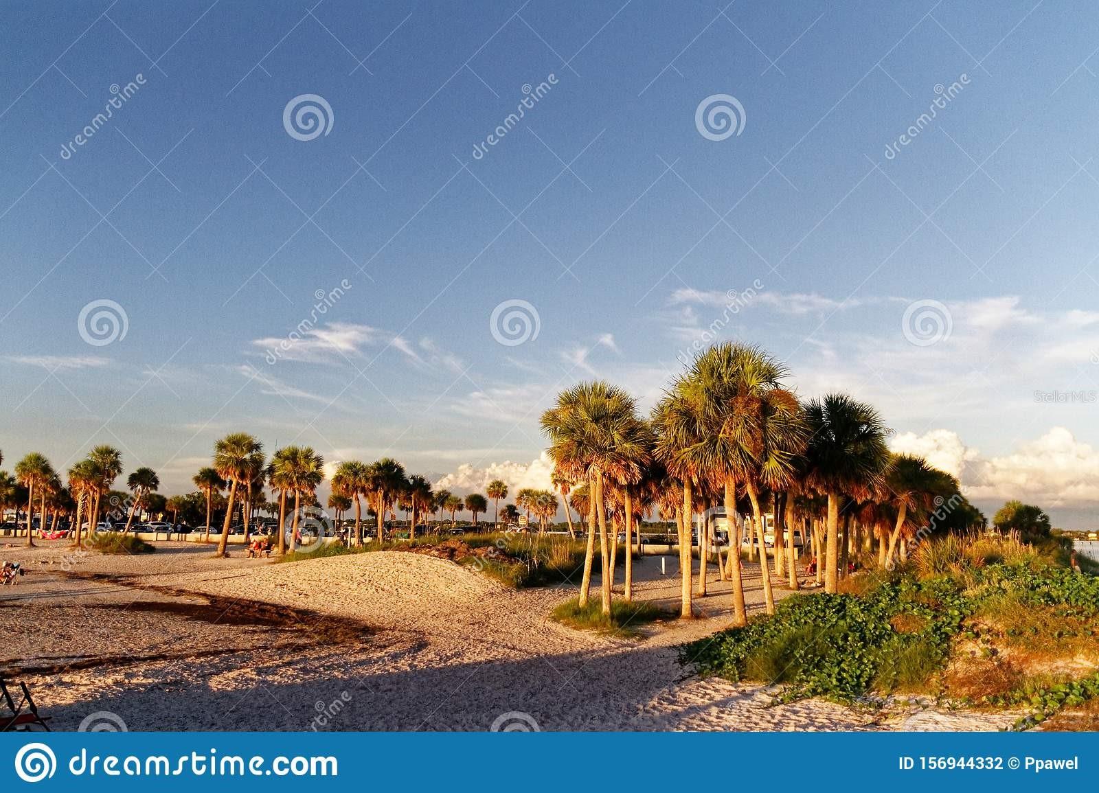 GREEN DOLPHIN PARK CONDO - Residential