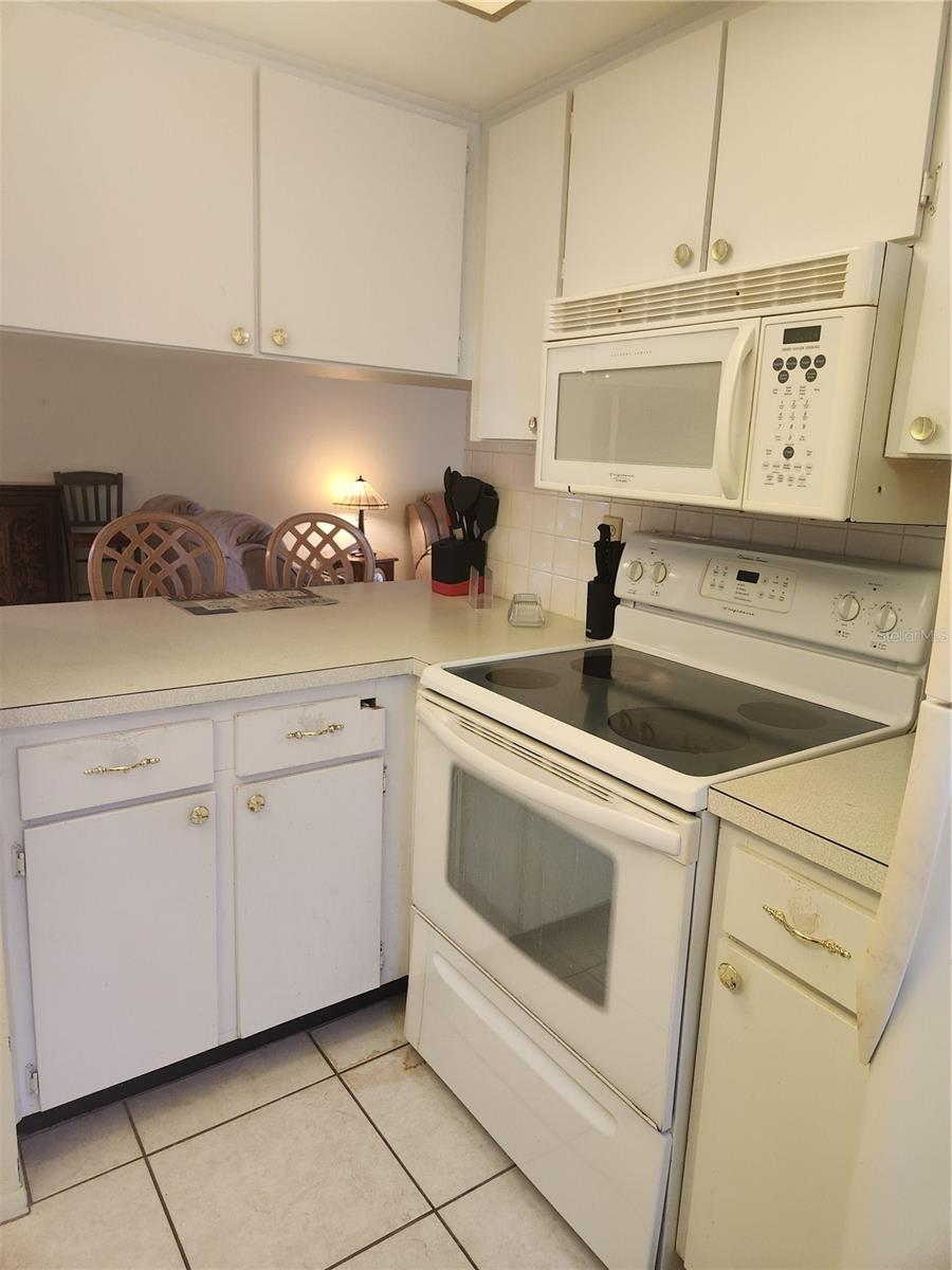 GREEN DOLPHIN PARK CONDO - Residential