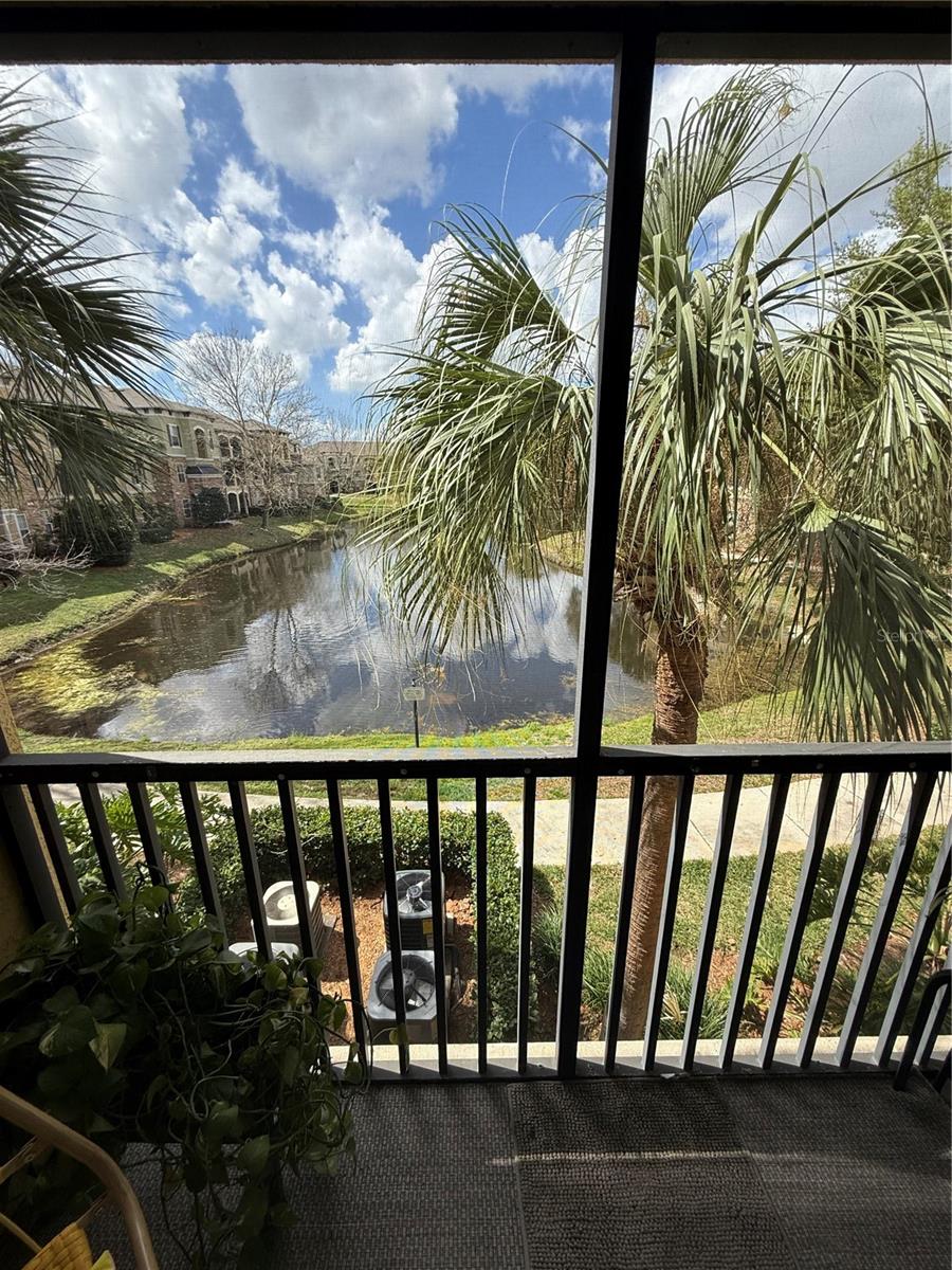 COURTNEY PALMS CONDO - Residential