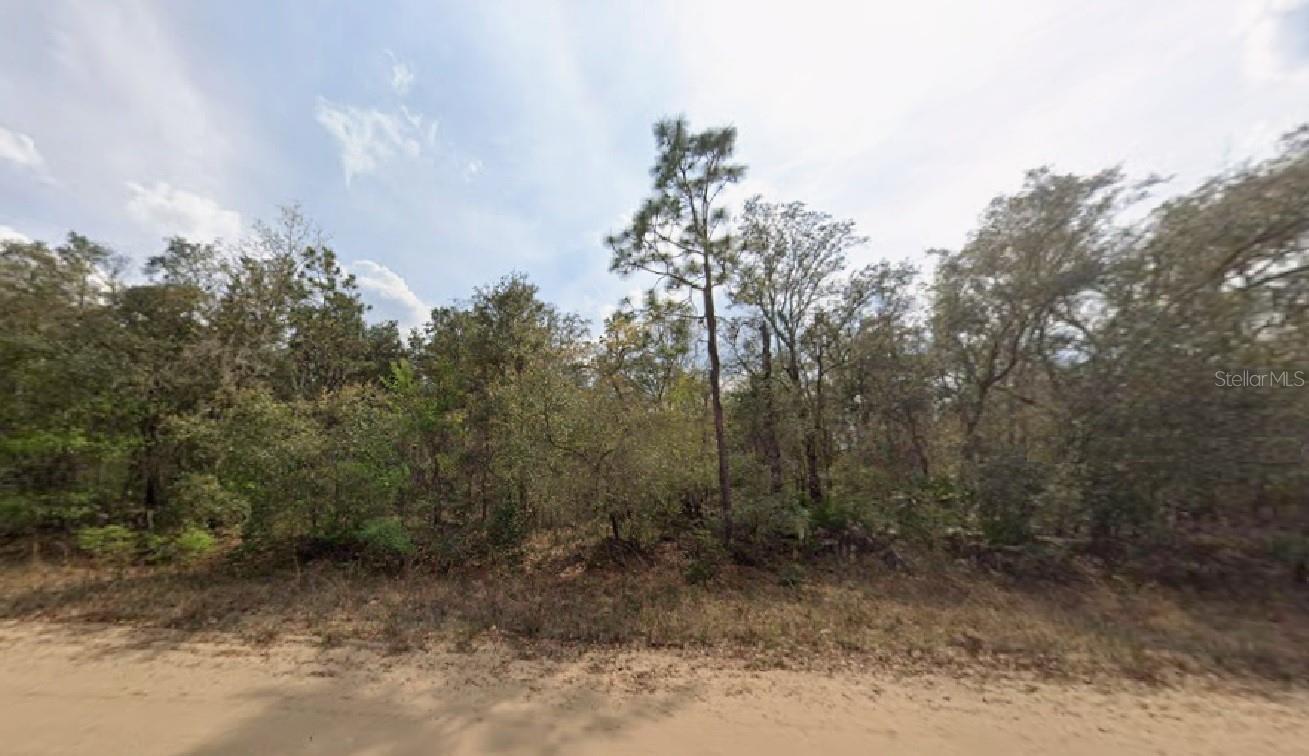 INTERLACHEN LAKES ESTATES - Land