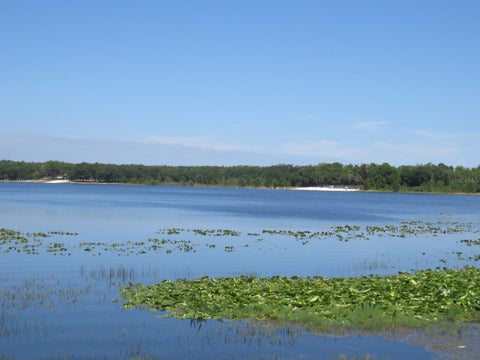 Tiny photo for SE 164th Avenue, Silver Springs, FL 34488 (MLS # OM734522)