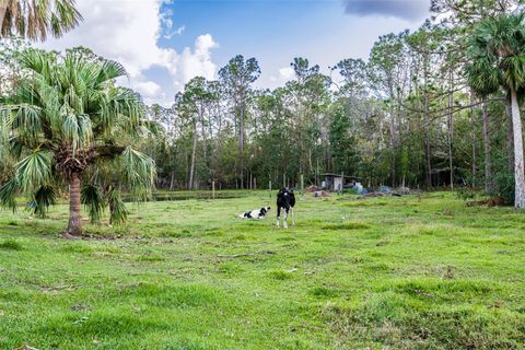 A home in MYAKKA CITY