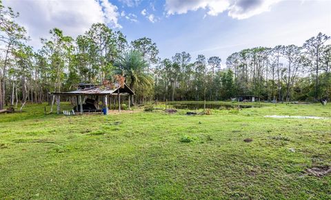 A home in MYAKKA CITY