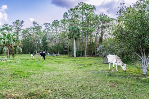 A home in MYAKKA CITY