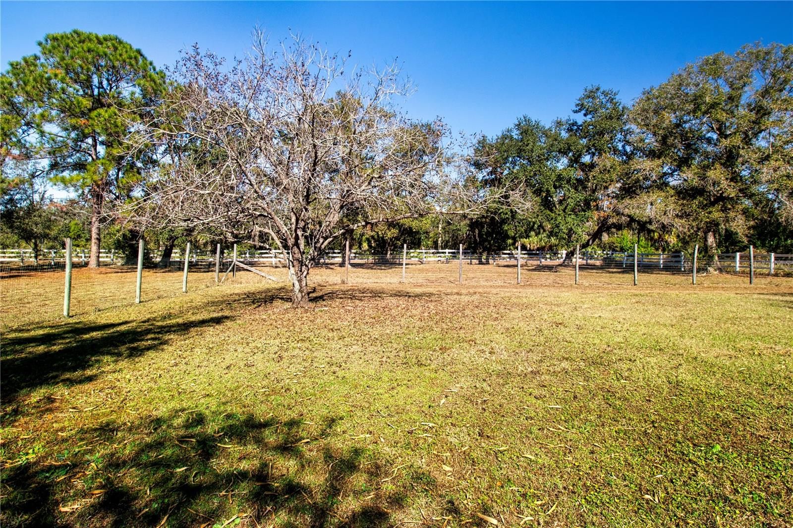 SUNDANCE TRAILS PH IIA IIB - Residential