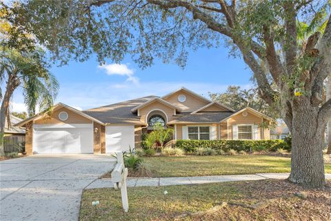 8701 BALLANTRAE WAY TAMPA FL 33647