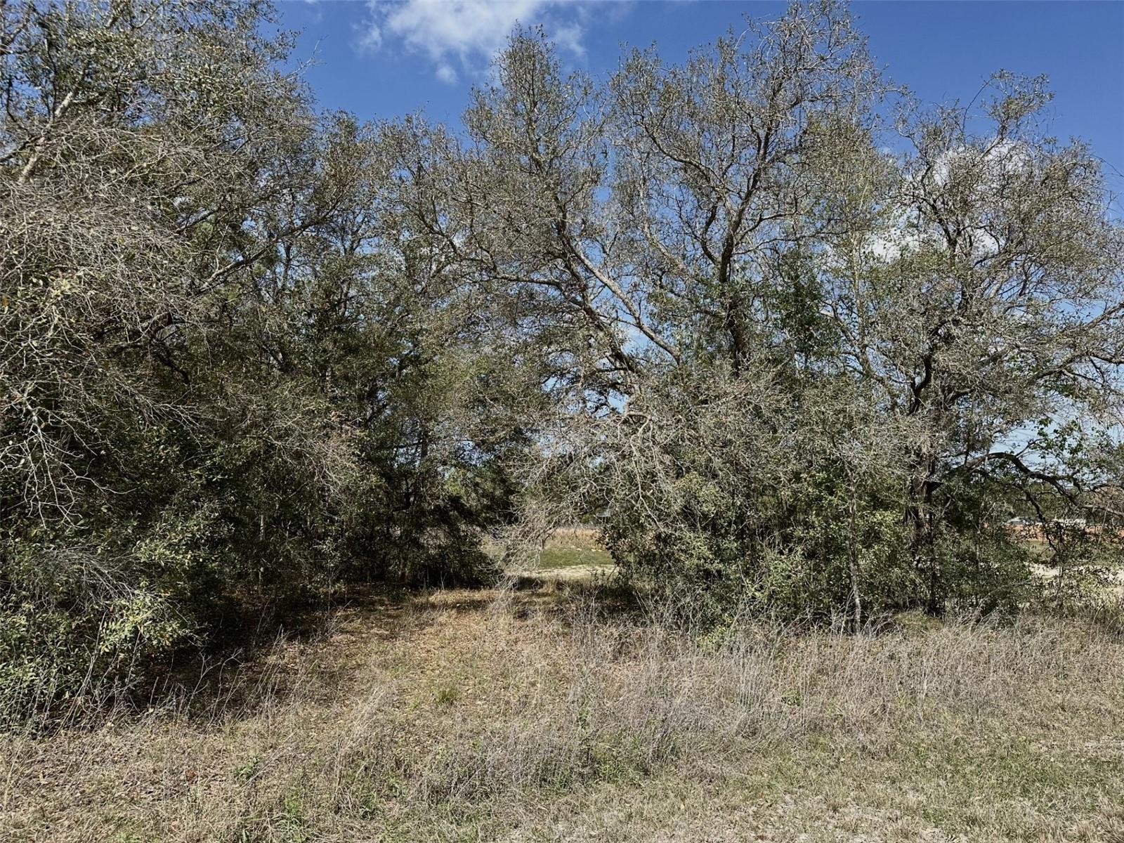 High-and-dry vacant lot offers the perfect opportunity to build your new home now or later. With no HOA or deed restrictions, you have the freedom to design your ideal space. This area is zoned for single-family homes only (no mobile homes permitted). Enjoy peace and privacy with no "no build" properties behind or to the north of this lot. Beautiful live oaks border the property, adding more privacy and value to the land. Nestled between Homosassa Springs, the Chassahowitzka River, and Weeki Wachee Springs, this location is a dream come true for water and nature enthusiasts. It's conveniently located near US 19 and the Suncoast Parkway, making commuting a breeze. The adjacent lot to the south is also available for sale by the same seller, offering even more possibilities. Don't miss out on this fantastic opportunity!