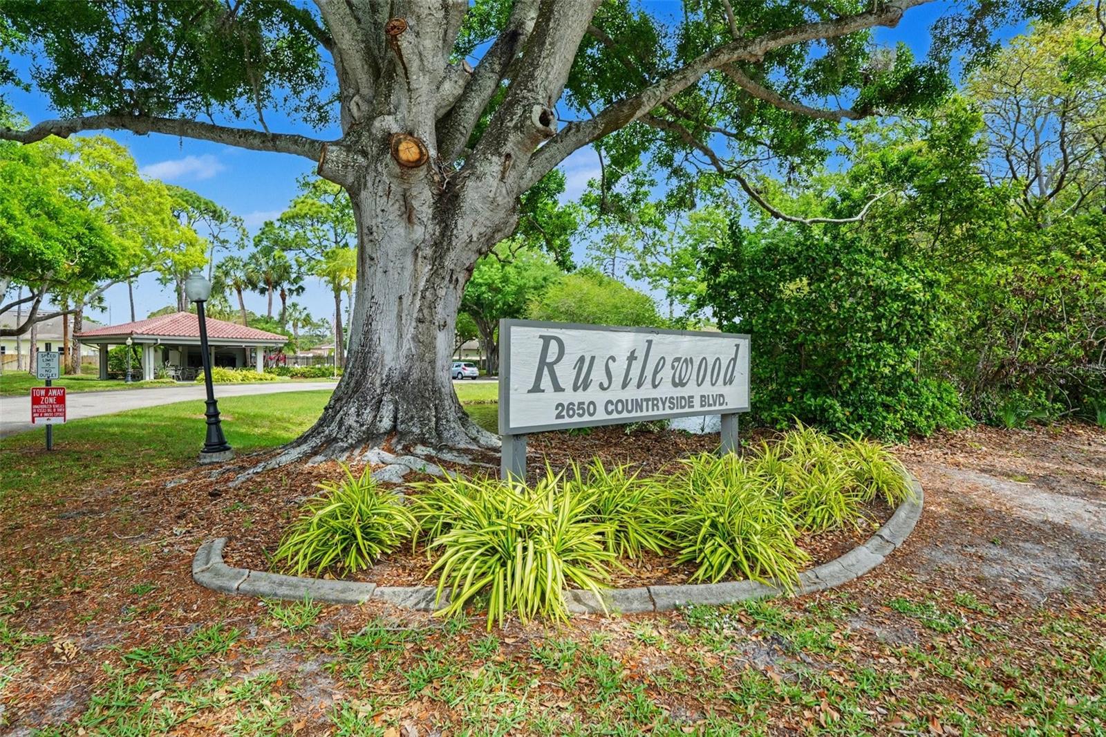 RUSTLEWOOD AT COUNTRYSIDE - Residential