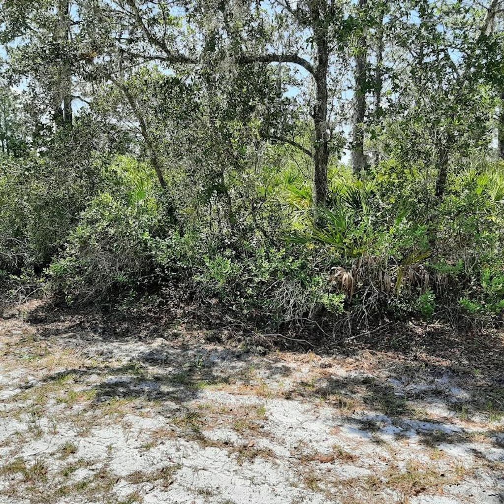 Photo of 211 Camellia Drive, Indian Lake Estates, FL 33855 (MLS # TB8388517)
